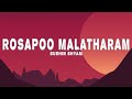 Sushin shyam  rosapoo malatharam lyrics