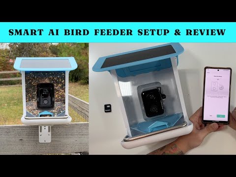 Kactoily Smart AI Bird Feeder Setup and Review