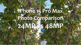 iPhone 15 Pro Max Photo Comparison: 24MP vs 48MP