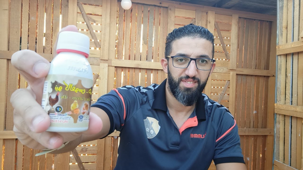 الاسباب والعلاج الفعال للحمام اللي بيبيض بيضه واحدة 🐣🐣