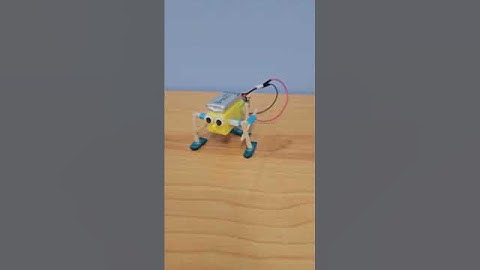Walking Robot with Single DC Motor