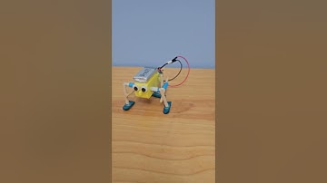 Walking Robot with Single DC Motor