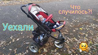 Vlog День с Реборном Тобиахом