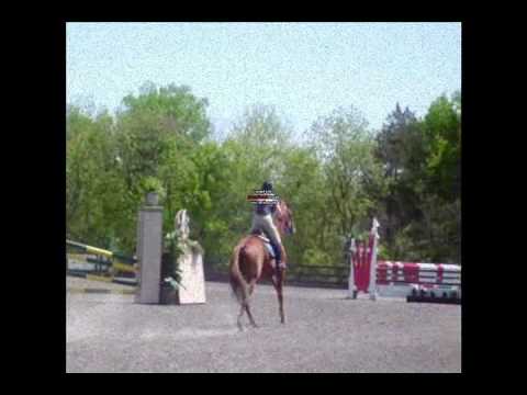 Jennifer Holder riding Vanity's Revenge Training Level