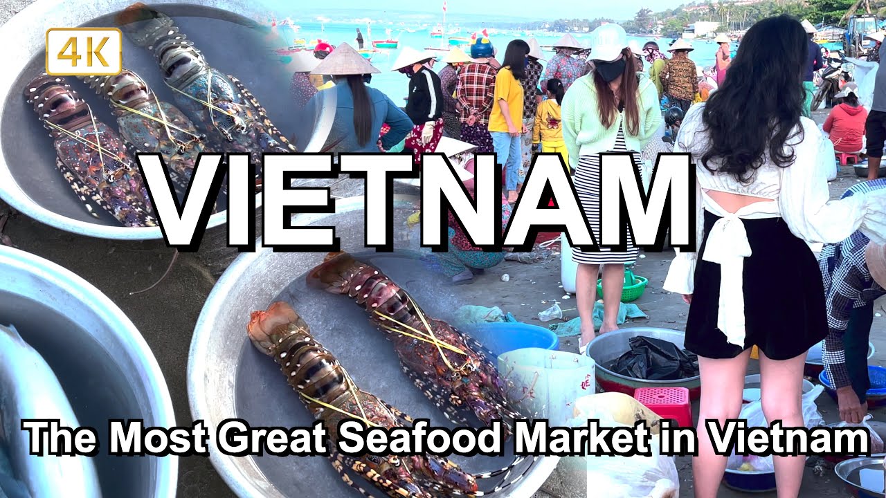 Seafood Market Vietnam 🇻🇳 Amazing Site Distributes SeaFood & Fish - Morning Fish Market