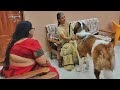 Tyzuu meets our relative (Maami) | Demands love and cuddles