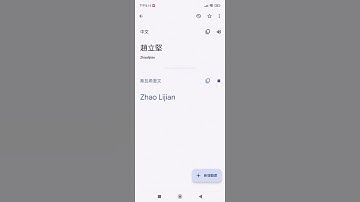 Google Translate趙立堅 (中文譯斯瓦希里文)