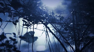 Something Wicked This Way Comes - Spot #1 "The Grown-ups Don