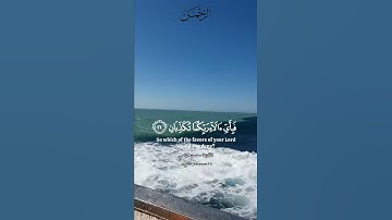 سورة الرحمن| مرج البحرين يلتقيان| محسن اليامي