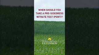 When should you take a pre-sidedress nitrate test (PSNT)?