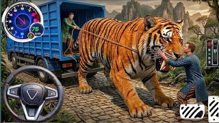 Lion Games Animal Simulator 3D screenshot 5