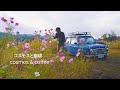 コスモス畑で珈琲をー | ローバーミニ | coffee | 4K |