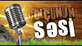 Çölçünün Səsi Altun Zeynalov - Im Coming Home