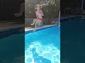 Lexi Pool 360