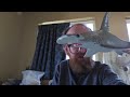 A Quick Lesson in Marine Animals