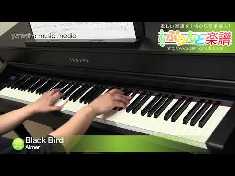 Black Bird Aimer