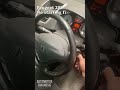 Peugeot 207 Cranks But Not Start - P0335 Crankshaft Sensor Fault