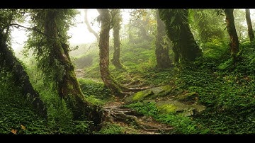 Artemishea Wildlife Survival Game FIRST TIME