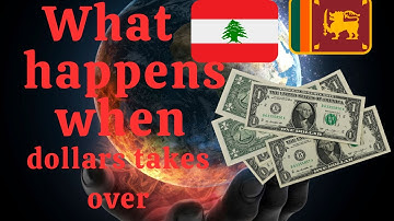 Cracking the Code Dollarization Unleashed  Pros and Cons Demystified