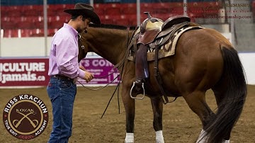 "Foundation" Education -  Part 1- Saddle Preparation - Front & Back Cinch