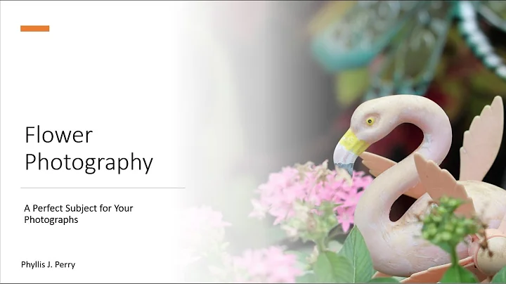 Flower Photography with Phyllis J. Perry
