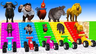 Long Slide Game With Hippo Chicken Monkey Buffalo Lion -3d Animal Game - Funny 3d Animals screenshot 3