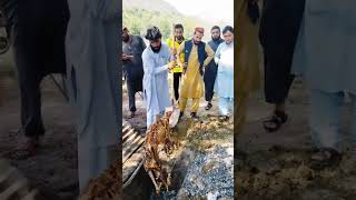 Najeeb URehman Orakzai 🇦🇫💙❤️#PTMInsights #ManzoorPashteen #PTM #GilamanWazir #Shorts #Viral