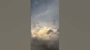 ان الذين امنوا وعملوا الصالحات يهديهم ربهم بإيمانهم / سورة يونس /بصوت ياسر الدوسري