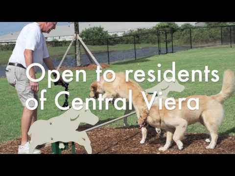 Addison Village Bark Park Grand Opening Addison Village Bark Park Grand Opening