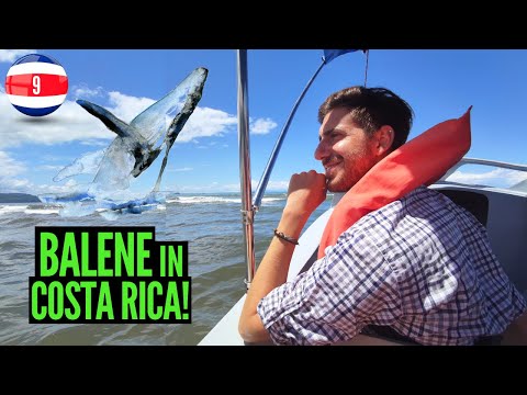 Video: Costa Rica – Paradiso In Terra