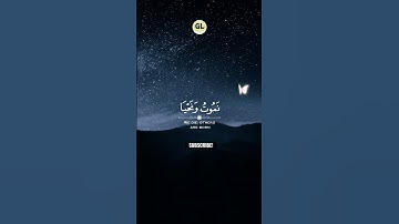 تلاوة خاشعة تزلزل القلوب|القارئ رعد الكردي #sorts #quran #تلاوة_خاشعة #القرآن_الكريم #القرآن #تلاوة