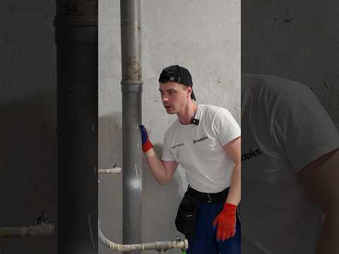 Шумит канализация? #shorts