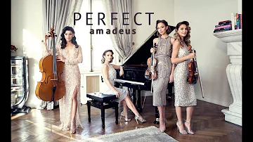 Ed Sheeran - Perfect (Amadeus violin cover instrumental)