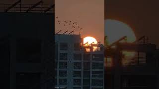 #sunsetphotography #goldenhour #aestheticvibes #skyporn #sunsetlovers #magicalmoments #vibes #dreamy