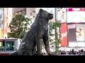 渋谷ぼっちの歌謡曲(おかゆ)by うろたん