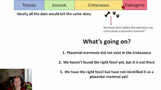 Bridging the Evolutionary Gap between the Cretaceous and Palogene Eras
