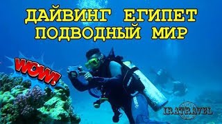 🇪🇬 ЕГИПЕТ,  КРАСНОЕ МОРЕ ПОДВОДНЫЙ МИР И ДАЙВИНГ  🐠  UNDERWATER WORLD IN RED SEA,  DIVING EGYPT screenshot 5