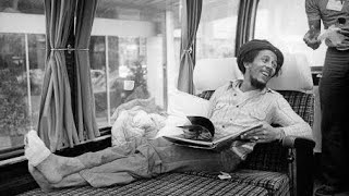 Top 10 Facts About Bob Marley | Childhood to Legacy