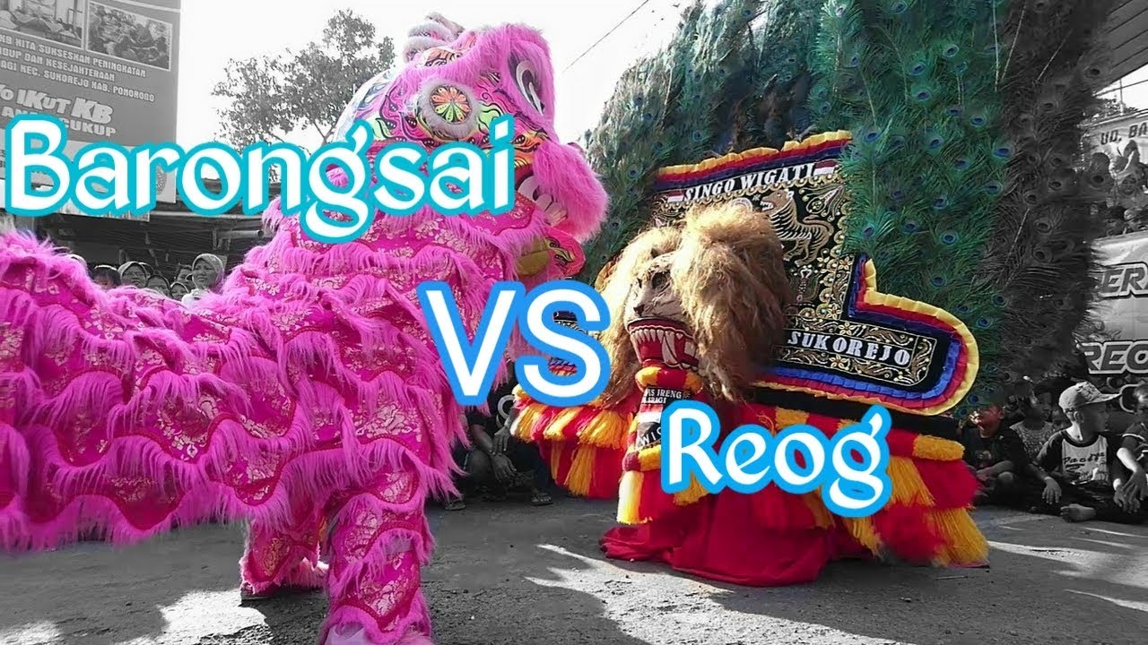 Adu Sakti..!!! Reog v barongsai||desa Sragi Sukorejo Ponorogo