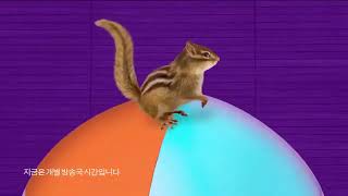 니켈로디언Nickelodeon Korea - Bumper 2017년 3월2017년 11월 30일