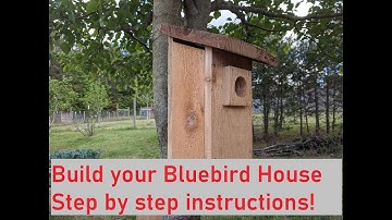 Build your own Bluebird house, Step by step instructions!
