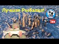 Рыбалка в мороз! Судак Щука Окунь! Султан Заповедник! Рыбалка на Судака!