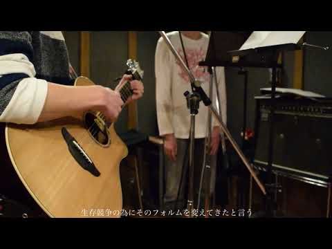 進化論／Mr.Children(弾き語りcover)