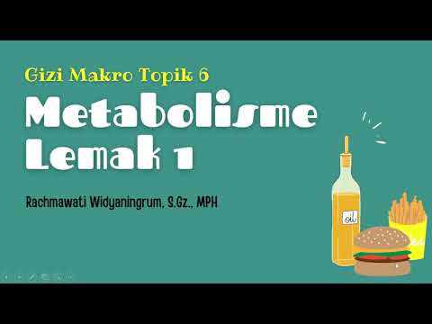 Metabolisme Lemak1