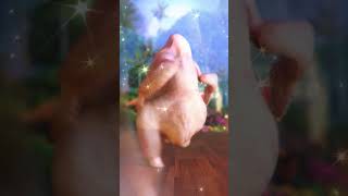 Twurkey just wants to have fun! #TwurkeyFun #Shorts #FeelGood
🌟🦃 Twurkey Can Always Drop It Like Its Hot! Catch the Twurkeys latest fiery moves. #TwurkeyDance #DropItLikeItsHot #DanceFever
Catch Twurkeys latest drop, follow for more, 🦃👇
Subscribe to our page, its the hottest dance floor. 🕺 Twurkey just wants to have fun! #TwurkeyFun #Shorts #FeelGood
