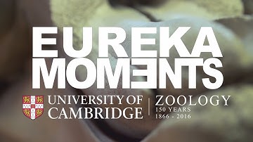Eureka Moments Trailer