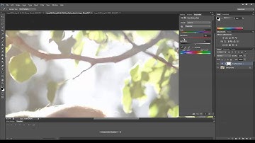 How To Remove A Chromatic Aberration in Photoshop and Elements