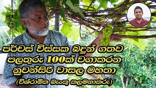 බදුන්ගත පලතුරු වගාව  badungatha palathuru wagawa Fruit cultivation in pots srilanka sinhala new