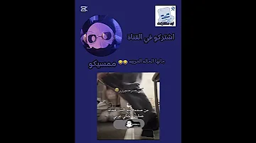 جاتها الحاله العربيه Explore Shorts بلاكبينك جنغكوك 