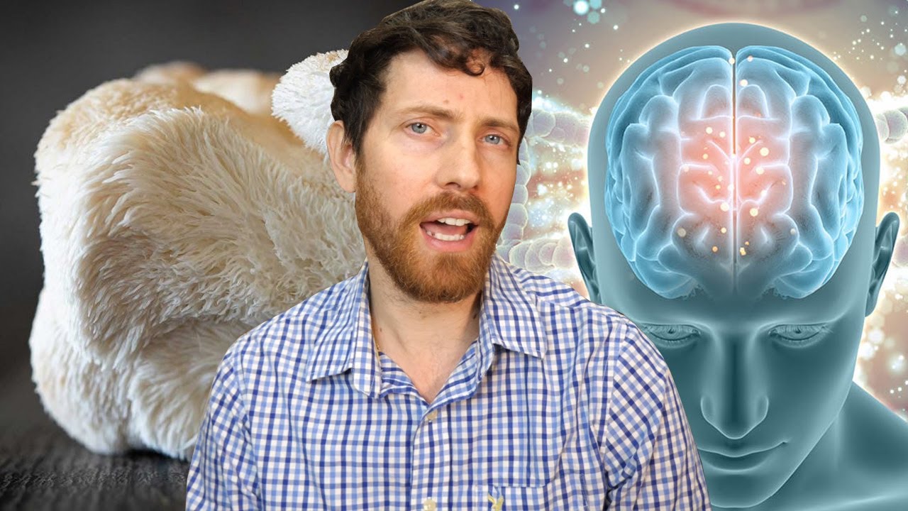 Can Lion's Mane Mushroom Reverse Alzheimer's? YouTube